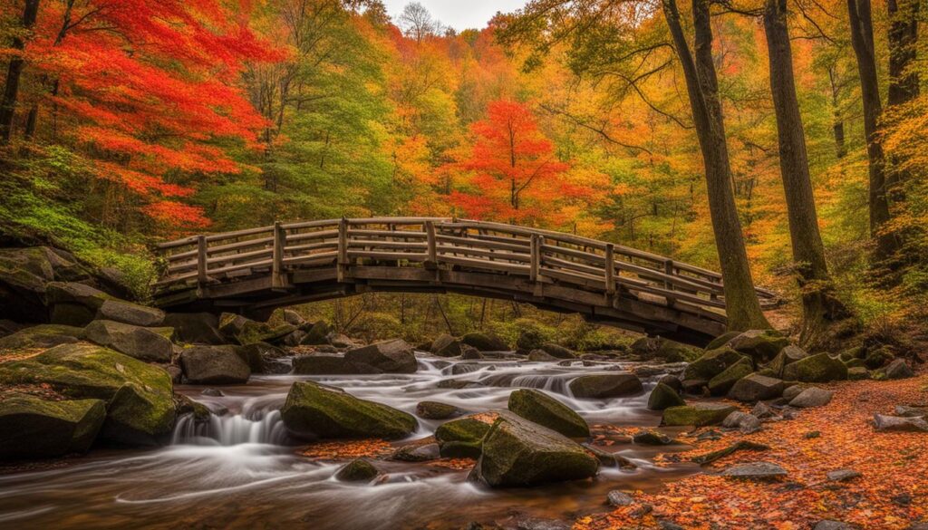 outdoor recreation in Lexington