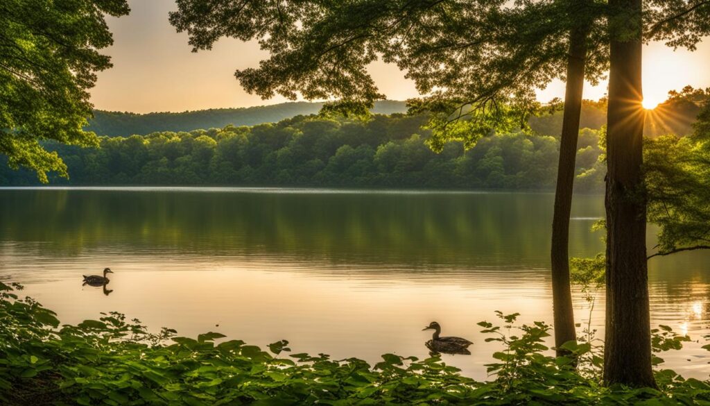 pickett ccc memorial state park