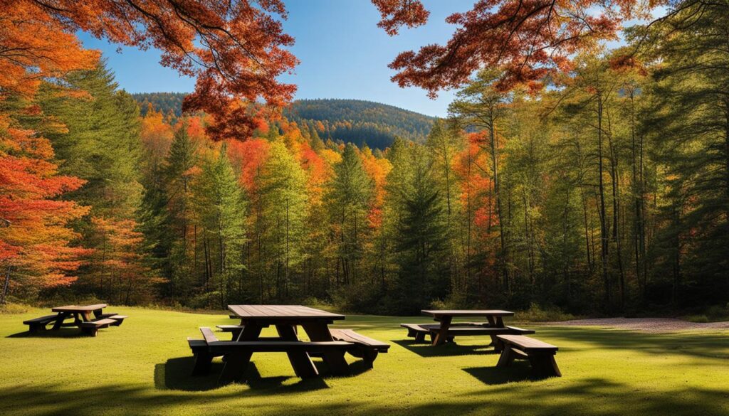 picnic area at Mount Sugarloaf State Reservation