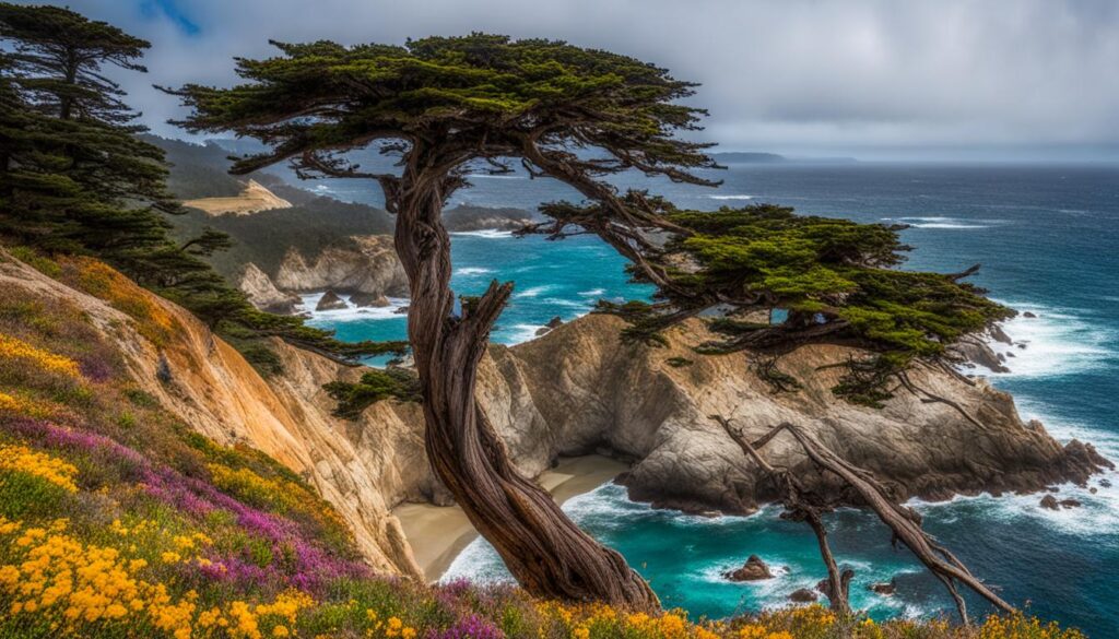 point lobos state natural reserve