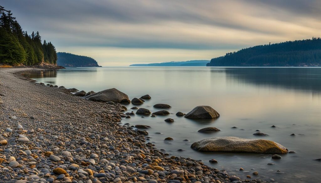 saltwater shoreline