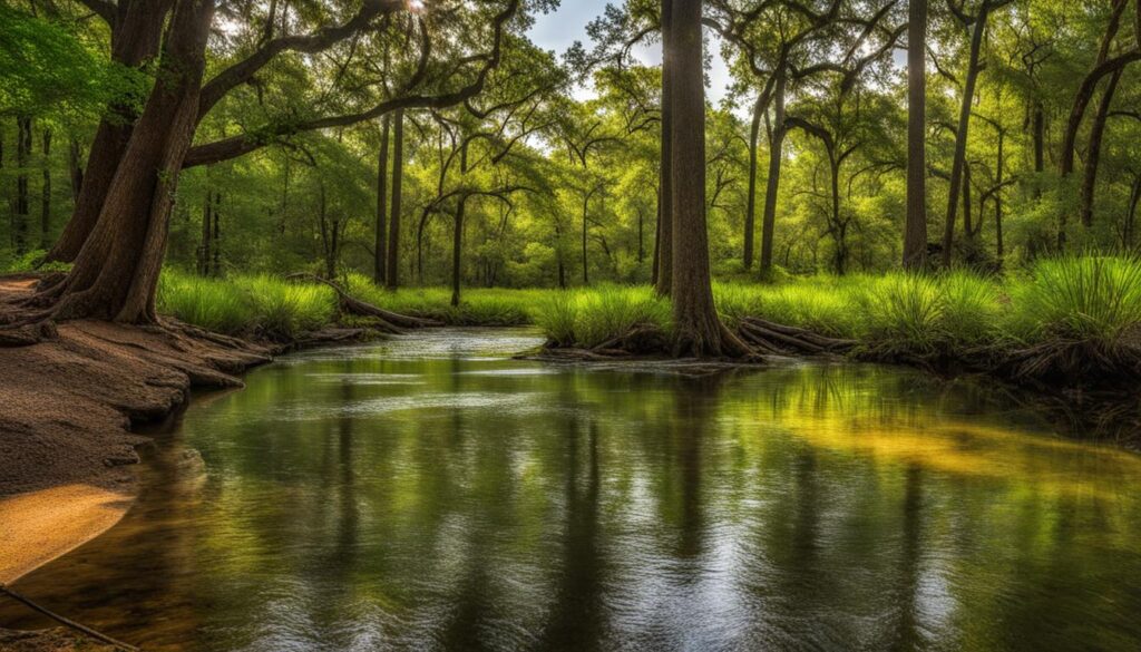 sam houston jones state park