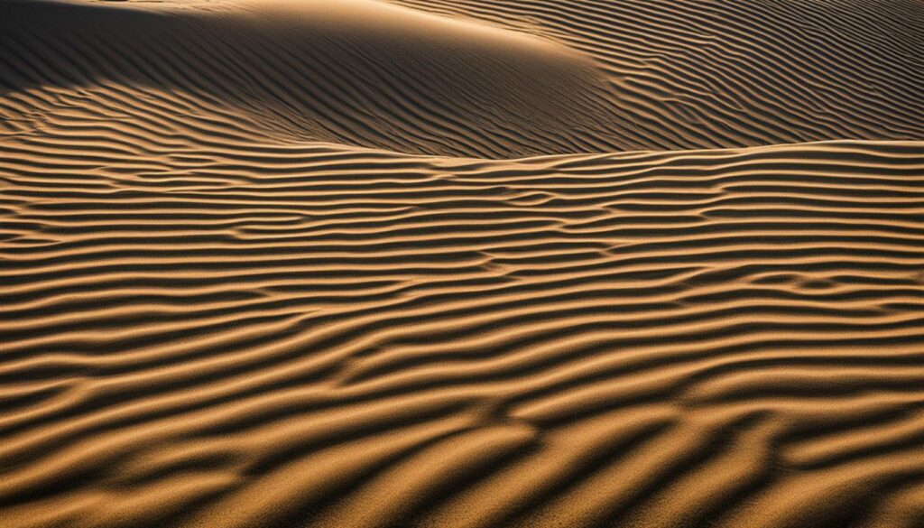 sand dunes