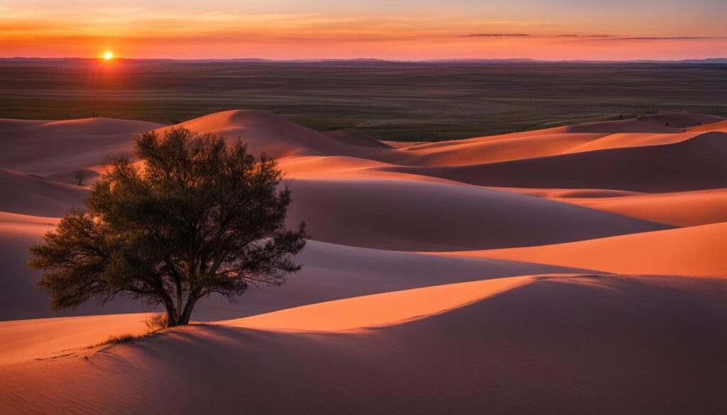 sand hills state park