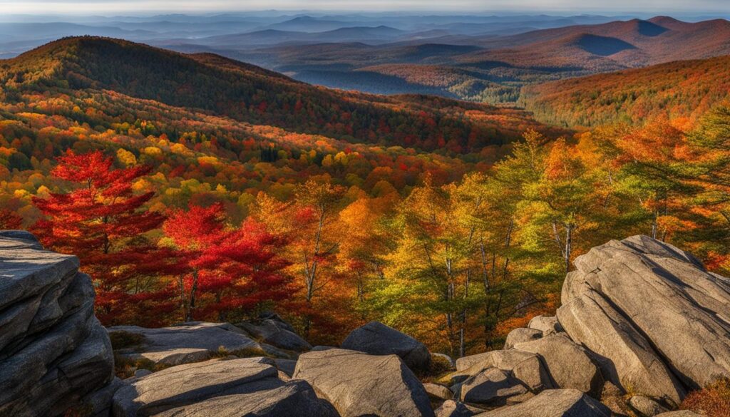 scenic views at Camel's Hump State Park