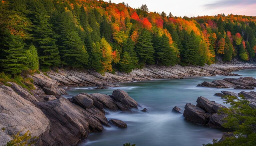 selkirk shores state park