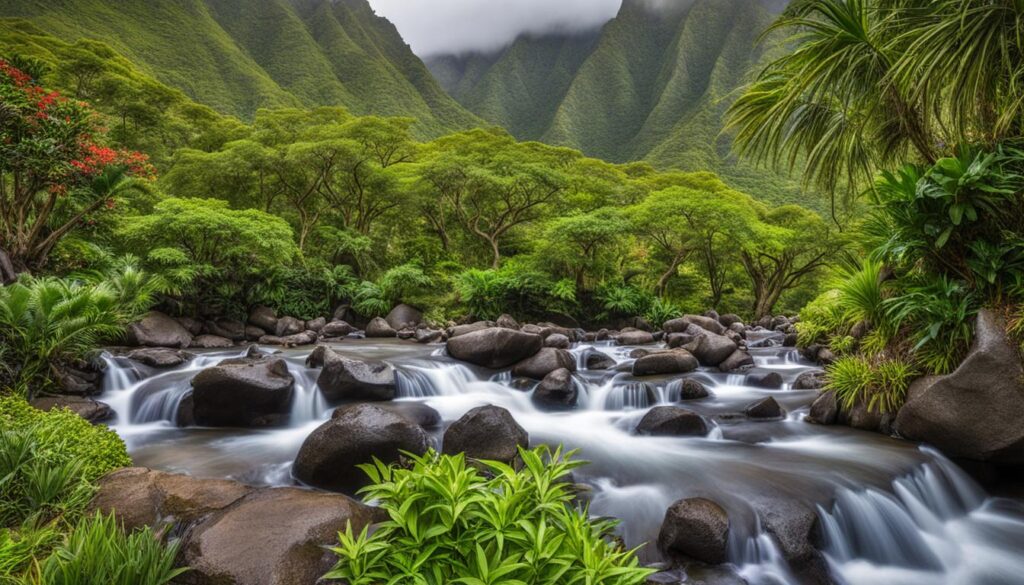 services and facilities at Iao Valley State Park
