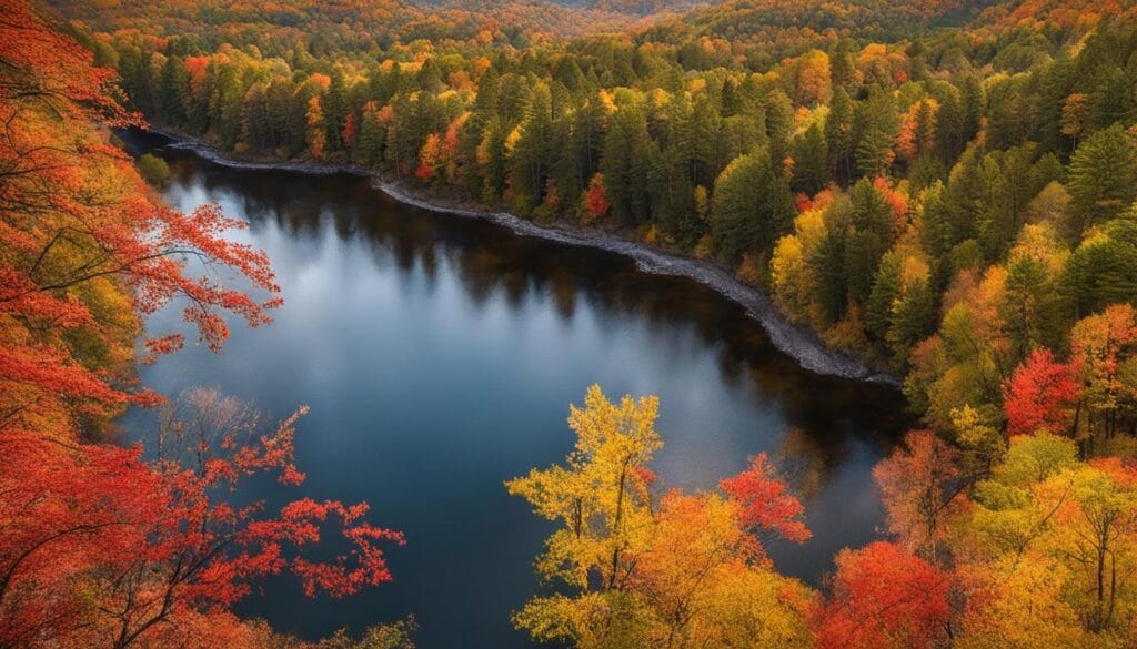 State Park state park