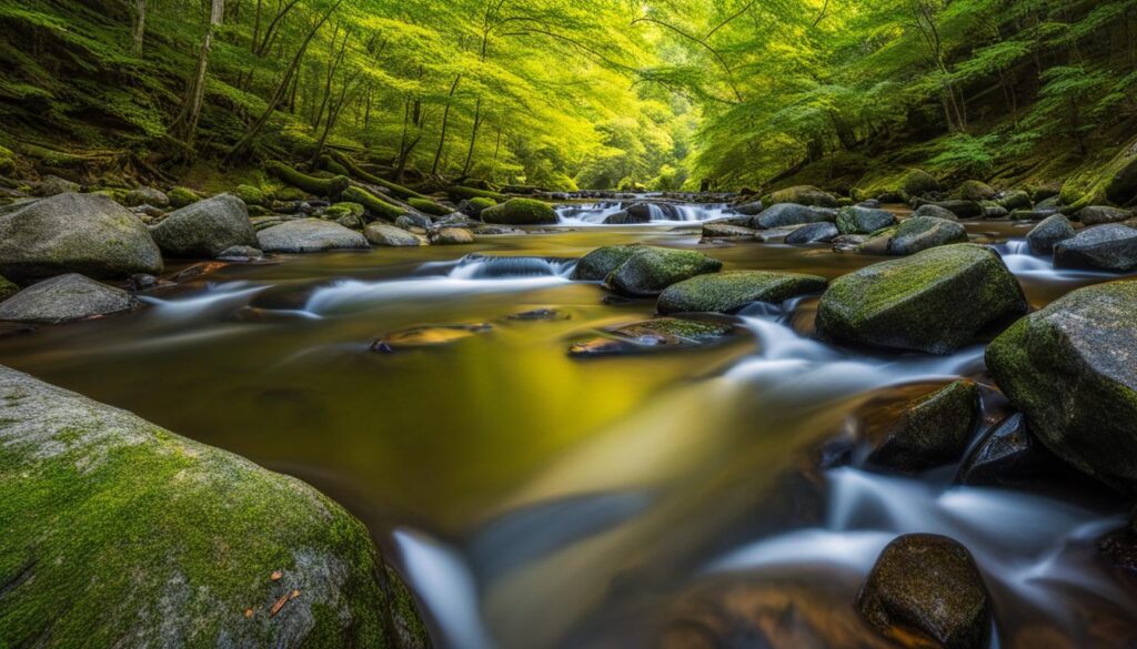 trout brook valley state park reserve