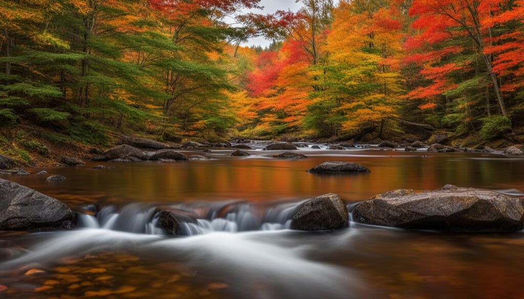 tunxis state forest