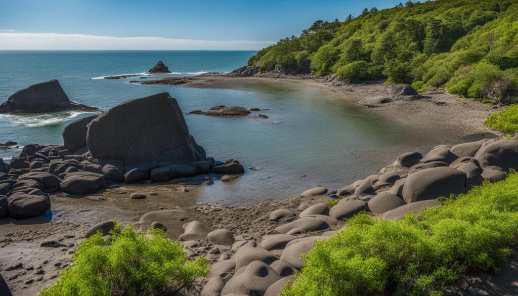 visiting Petroglyph Beach State Historic Site