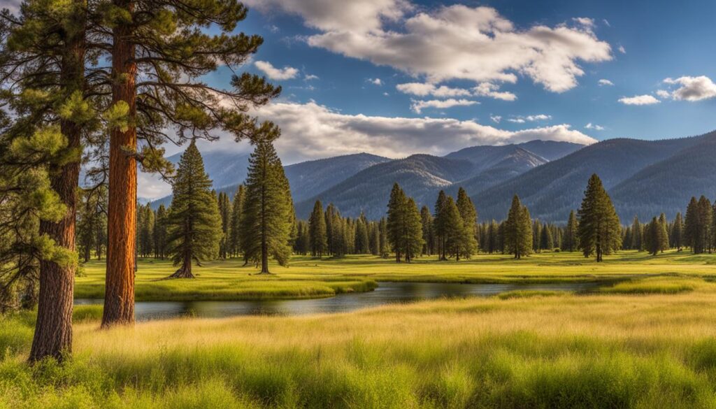 washoe meadows state park