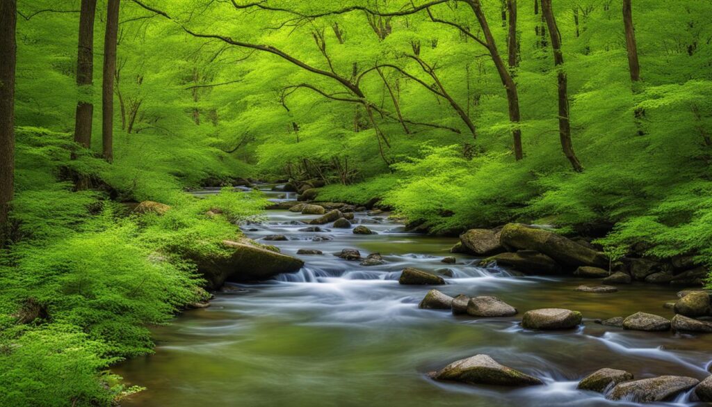 white clay creek preserve