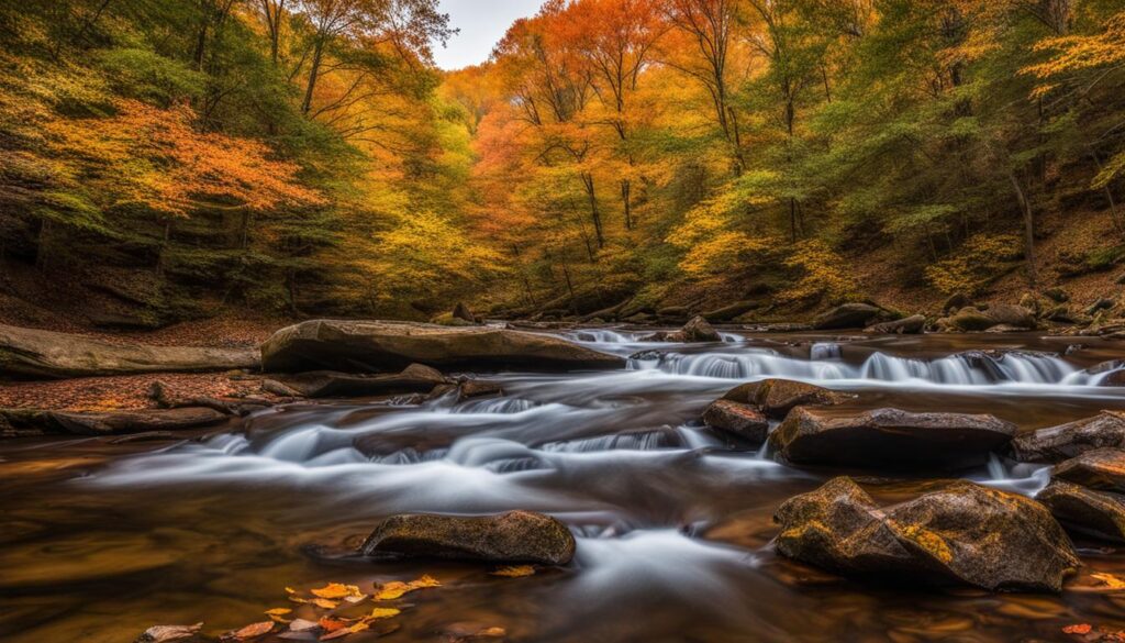 white clay creek state park