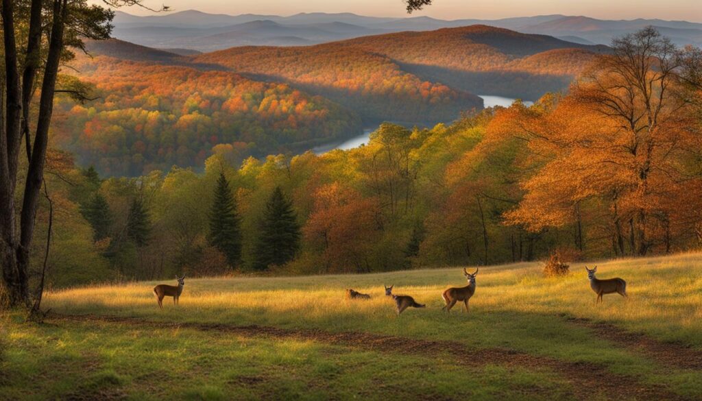 wildlife viewing at Droop Mountain Battlefield State Park