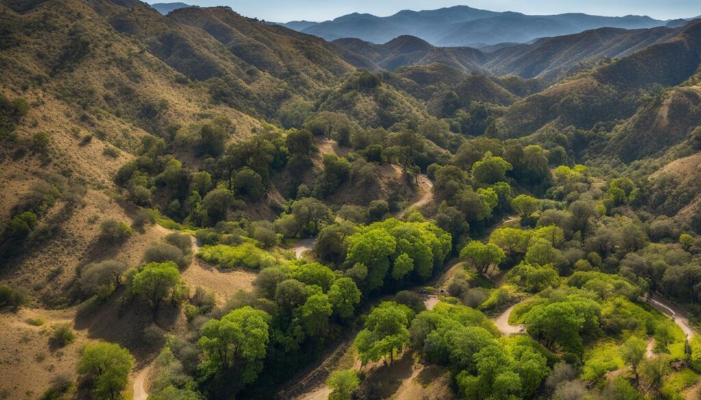 wildwood canyon state park aerial view