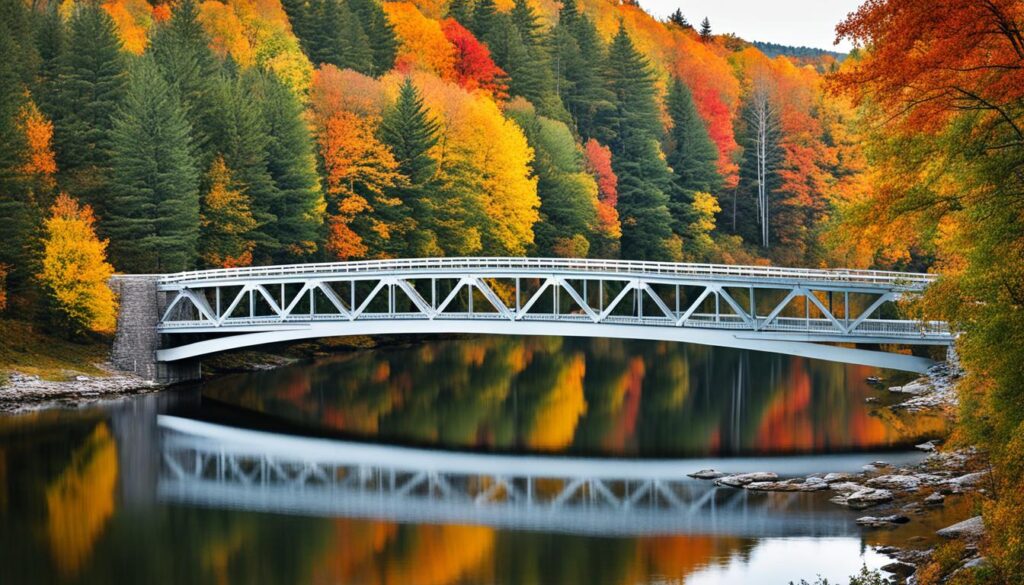 Casselman River Bridge State Park