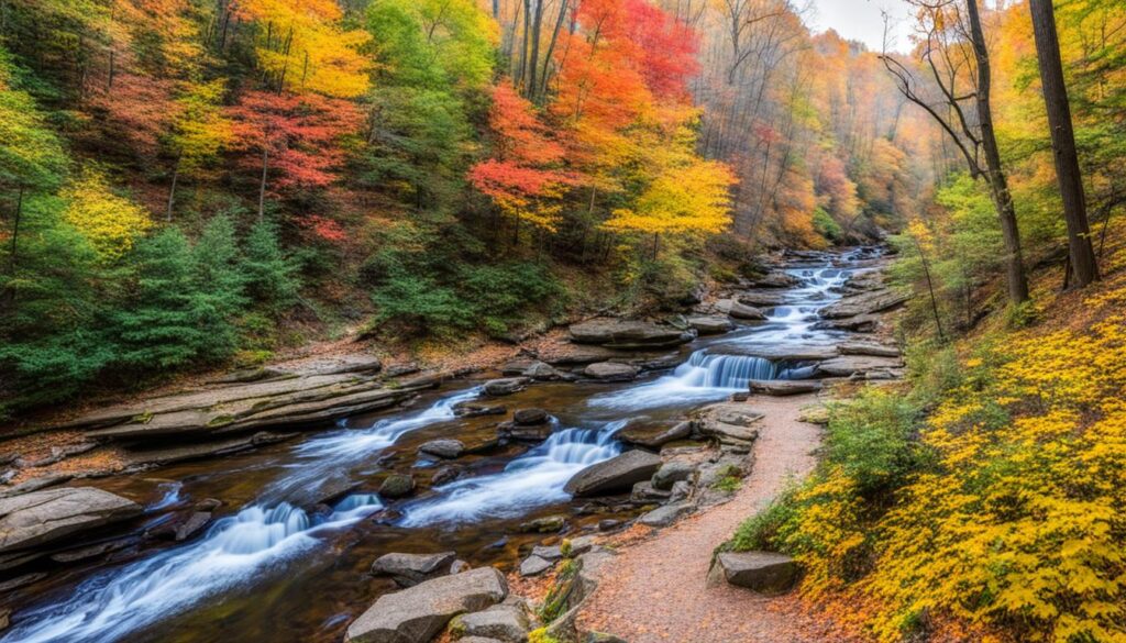 Hiking trails in Patapsco Valley State Park