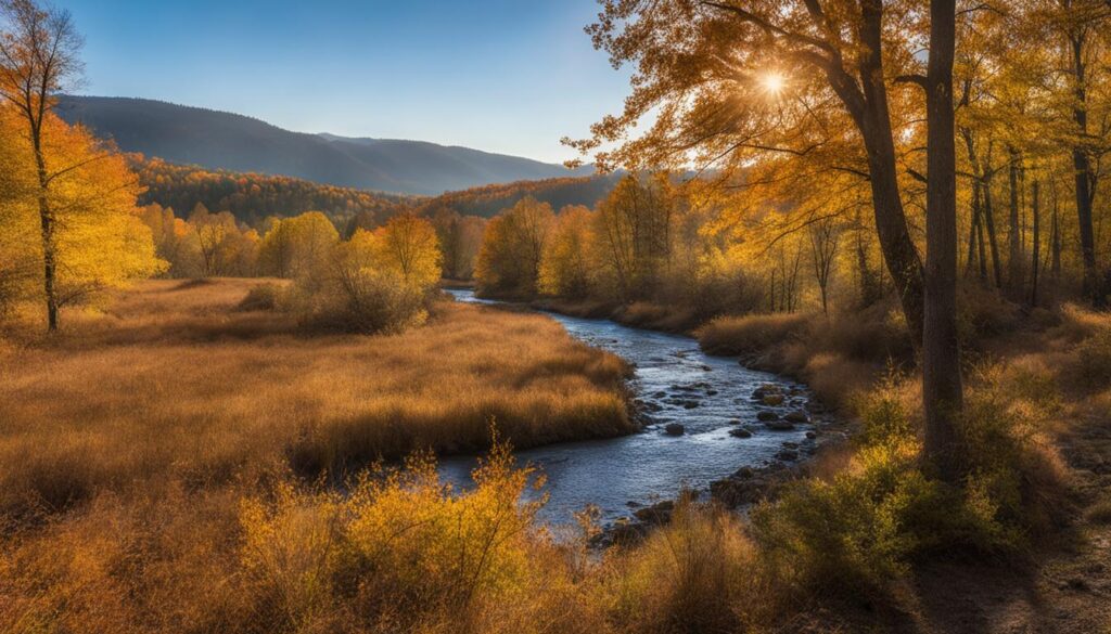 Sucker Creek Preserve