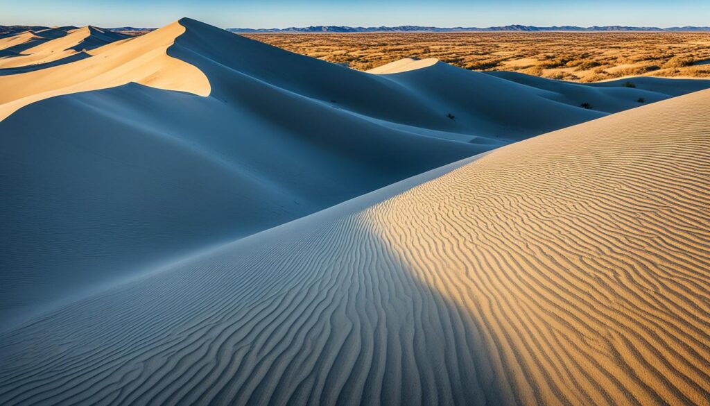 sand dunes in Monahans Sandhills State Park