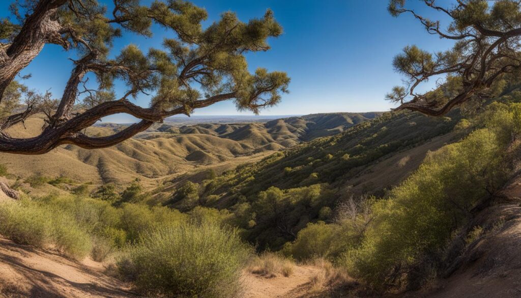 Government Canyon State Natural Area