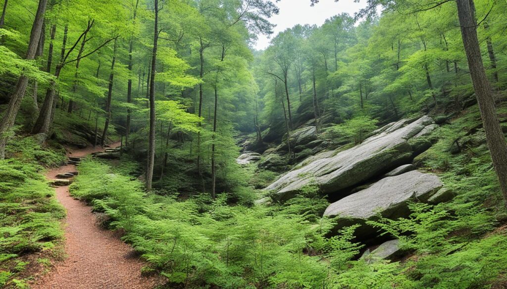 Hiking trails in Crowders Mountain State Park